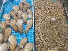 -三亚火车头万人海鲜广场