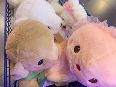 -PAWTOY爪e玩偶店(天兴罗斯福店)