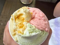 -DIP in GELATO(富民路店)