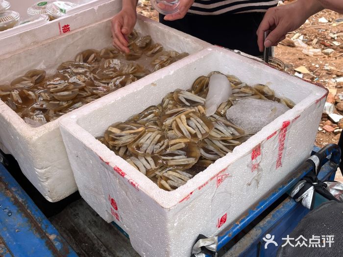 安海长火土笋冻图片