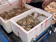 -安海长火土笋冻