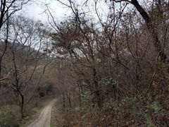 -青龙山国家森林公园