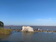 -吴淞炮台湾湿地森林公园烧烤区