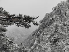-黄山光明顶山庄