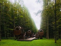 -黄海国家森林公园