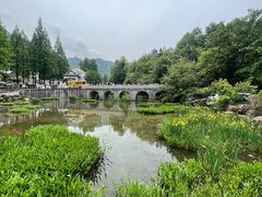 -九华山聚龙大酒店