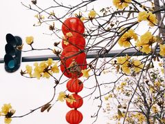 -洲头咀公园