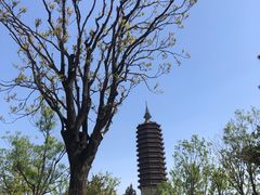 -西海子公园