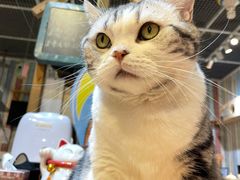 -小时光咖啡馆(开森度假森林店)