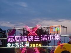 -荷兰花海
