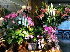 -春暖花开(西溪店)