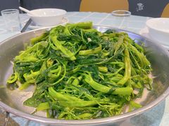-石岐乳鸽村(桥观坊南四巷店)