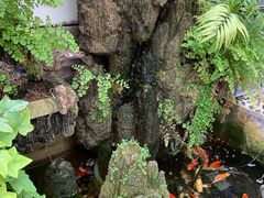 -丽江庭院之爱在路上(西单店)