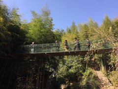 -众神白水涧景区