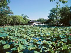 -惠州西湖丰渚园