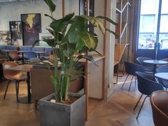 -Wagas沃歌斯(江浦路店)