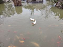 -武汉紫薇都市田园