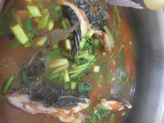 iphone_upload_pic-风鑫铃罗非鱼(道沟店)