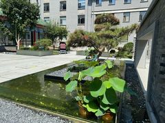 -庐灶江南·江南菜·四合院Bistro(东直门雍和宫·原华侨宾馆店)