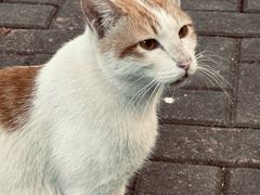 -晓港公园