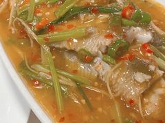 -付掌柜在成都·热炒砂锅集(金禾店)
