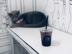 -白夜2D咖啡馆