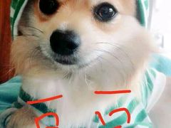 -国御温泉度假小镇