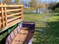 -洱海月湿地公园