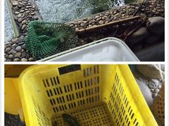 -白洋淀锅里口灶台鱼