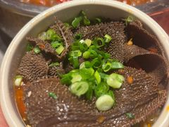 -天津自然博物馆