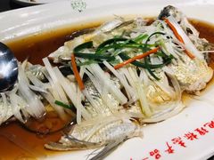 -丹江渔村(望京店)