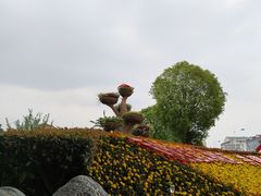 -七宝老街-闵行市民文化广场