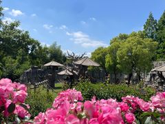 -上海野生动物园