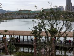 -枫香湖儿童公园