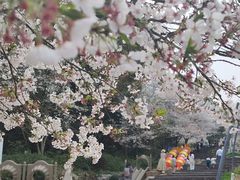 -杭州少年儿童公园
