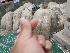 -泰山风景名胜区