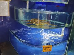 -蚝大仙横琴生蚝火锅(日月贝店)
