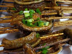鳝鱼-晓靖轩烧烤(沙河风情店)