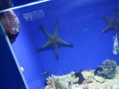 -常州海昌海洋探索馆