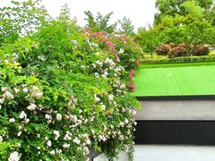 -UNI UNI(环亚凯瑟琳店)