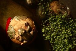 店内环境-老黑造型