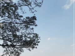 -滇池海埂公园