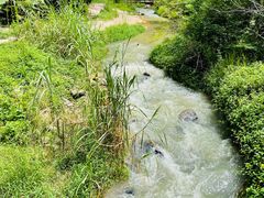 -红山村