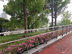 -北外滩滨江绿地