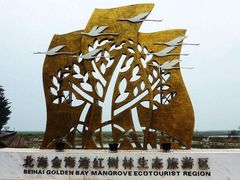 -北海金海湾红树林生态旅游区