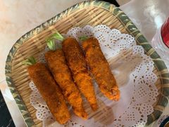 -丁老爷子苏香圆