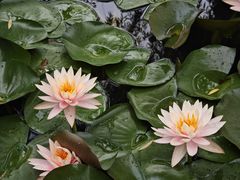 -宁波九龙湖开元度假村
