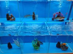 -怡咖啡·自助餐·西安香格里拉