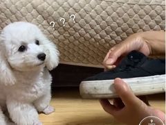 -爱革·奢品·鞋包·衣物·家居(金桥国际商业广场店)