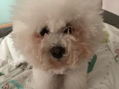 -安安宠医·臻爱宠物医院·宠保定点(营门口路分院)